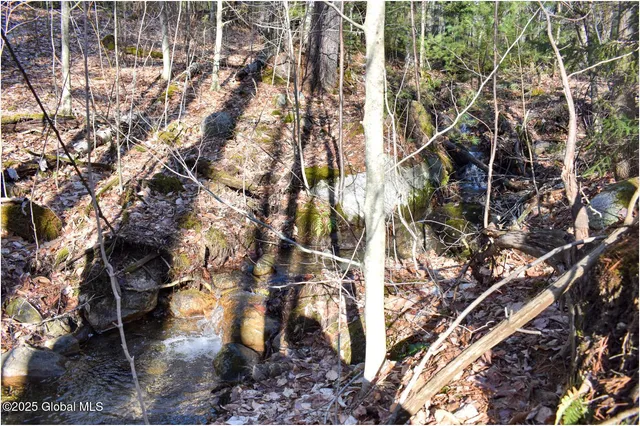 $119,000 | L9 New Hague Road, Hague, NY 12836