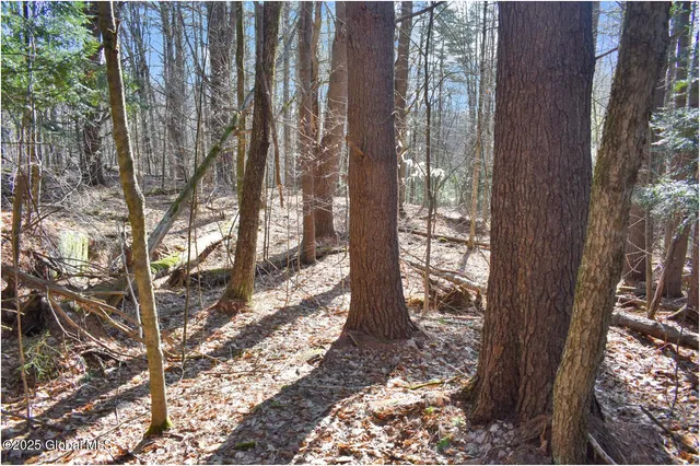 $119,000 | L9 New Hague Road, Hague, NY 12836