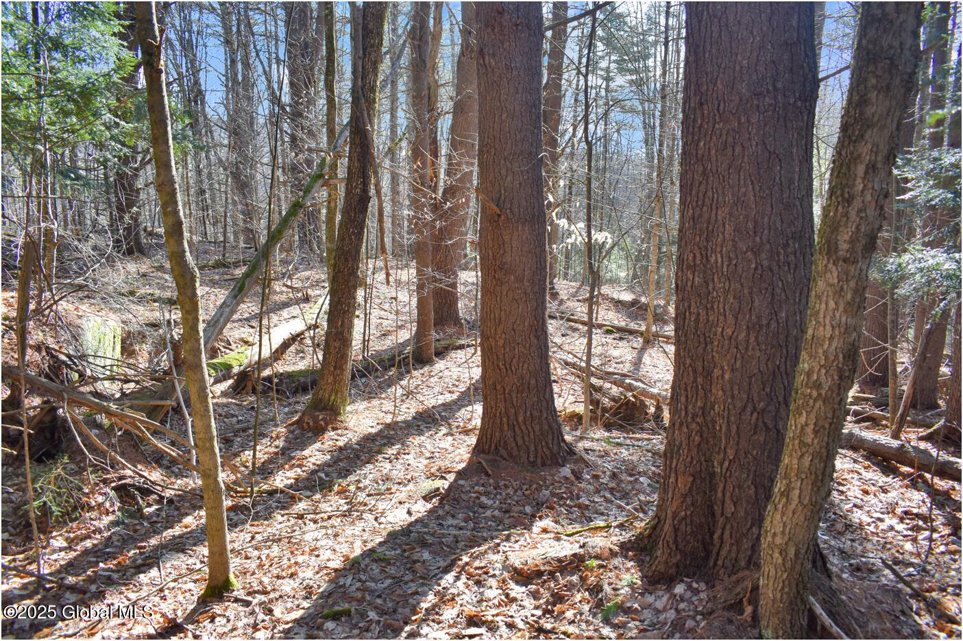 L9 New Hague Road Hague, NY 12836 - Photo 40 of 47 n35