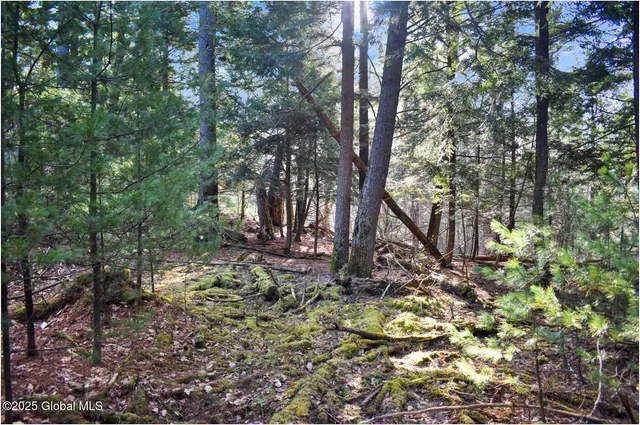 $119,000 | L9 New Hague Road, Hague, NY 12836