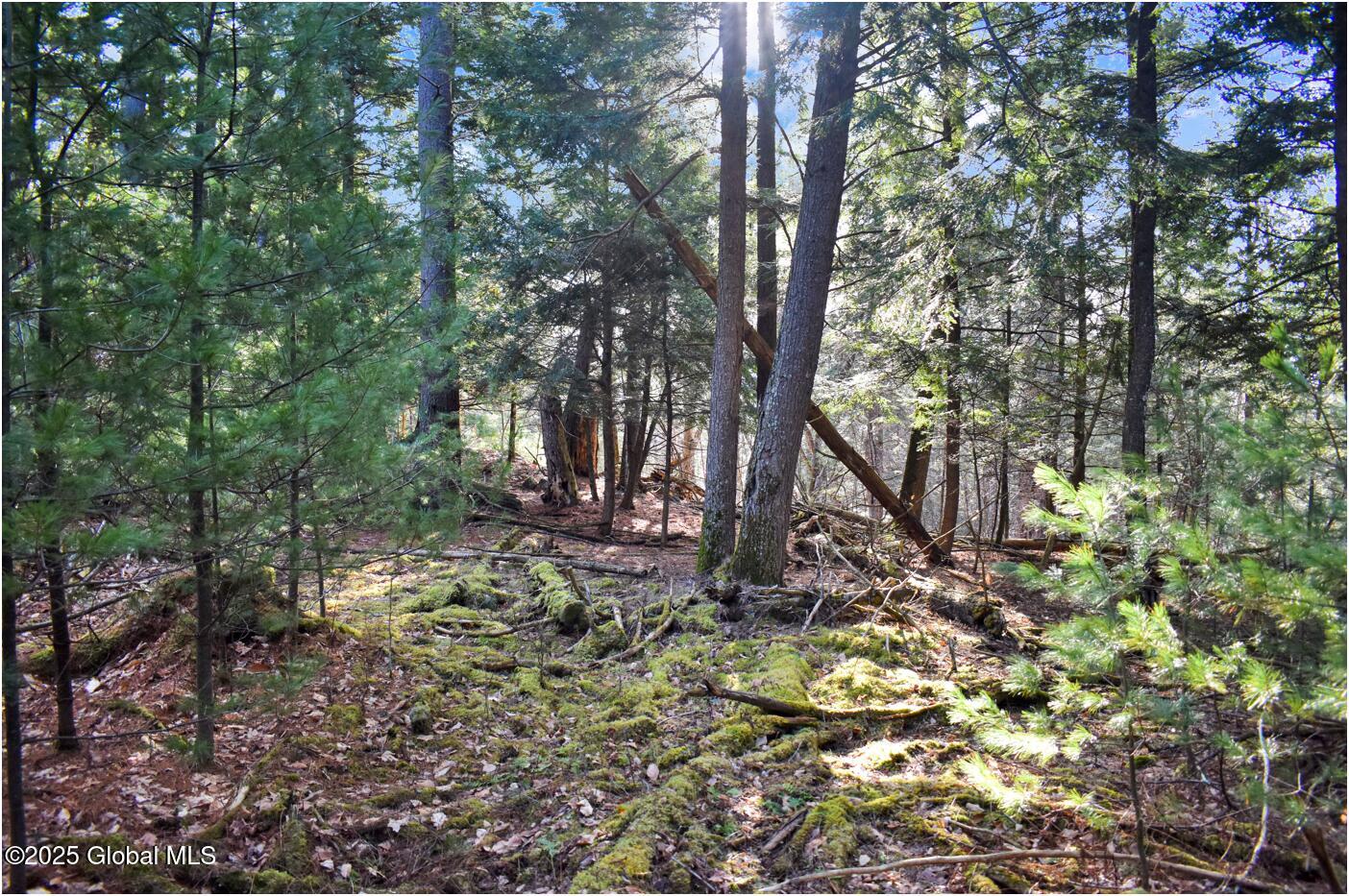 L9 New Hague Road Hague, NY 12836 - Photo 4 of 47 n10