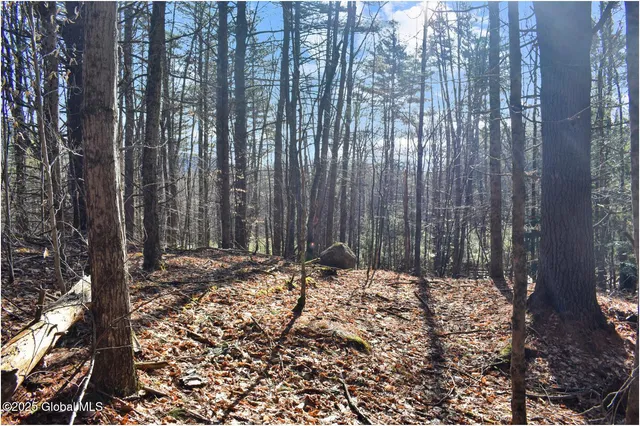 $119,000 | L9 New Hague Road, Hague, NY 12836