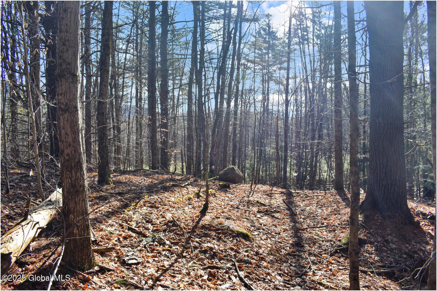 L9 New Hague Road Hague, NY 12836 - Photo 41 of 47 n36