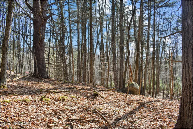 $119,000 | L9 New Hague Road, Hague, NY 12836