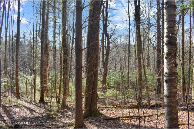 $119,000 | L9 New Hague Road, Hague, NY 12836