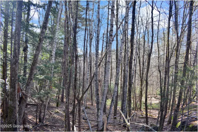 $119,000 | L9 New Hague Road, Hague, NY 12836