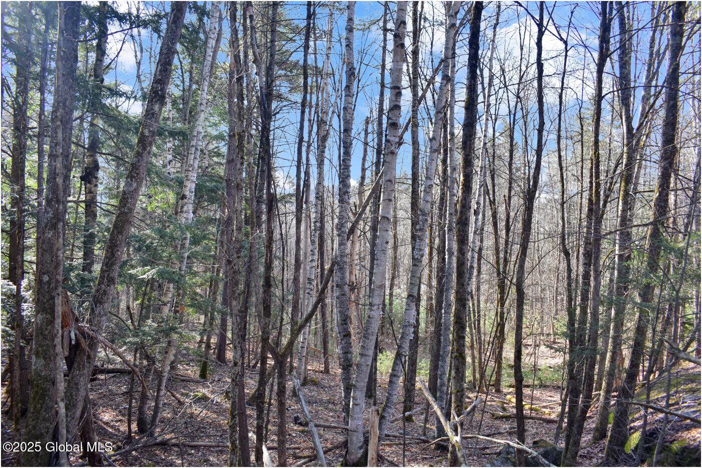 L9 New Hague Road Hague, NY 12836 - Photo 44 of 47 n47