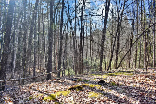 $119,000 | L9 New Hague Road, Hague, NY 12836