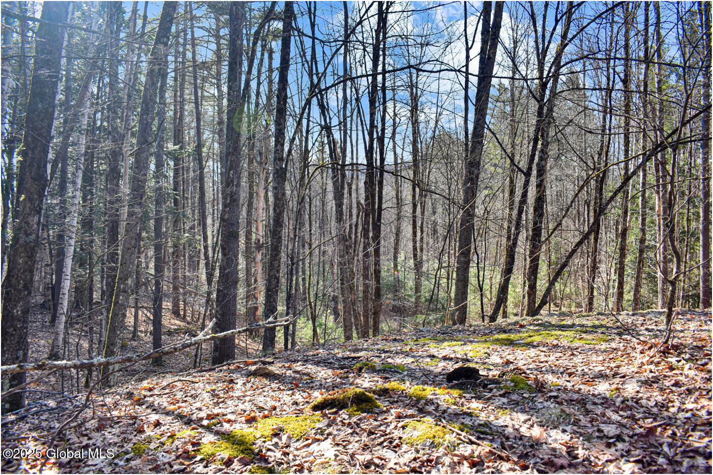 L9 New Hague Road Hague, NY 12836 - Photo 45 of 47 n50