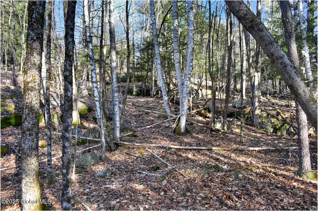 $119,000 | L9 New Hague Road, Hague, NY 12836