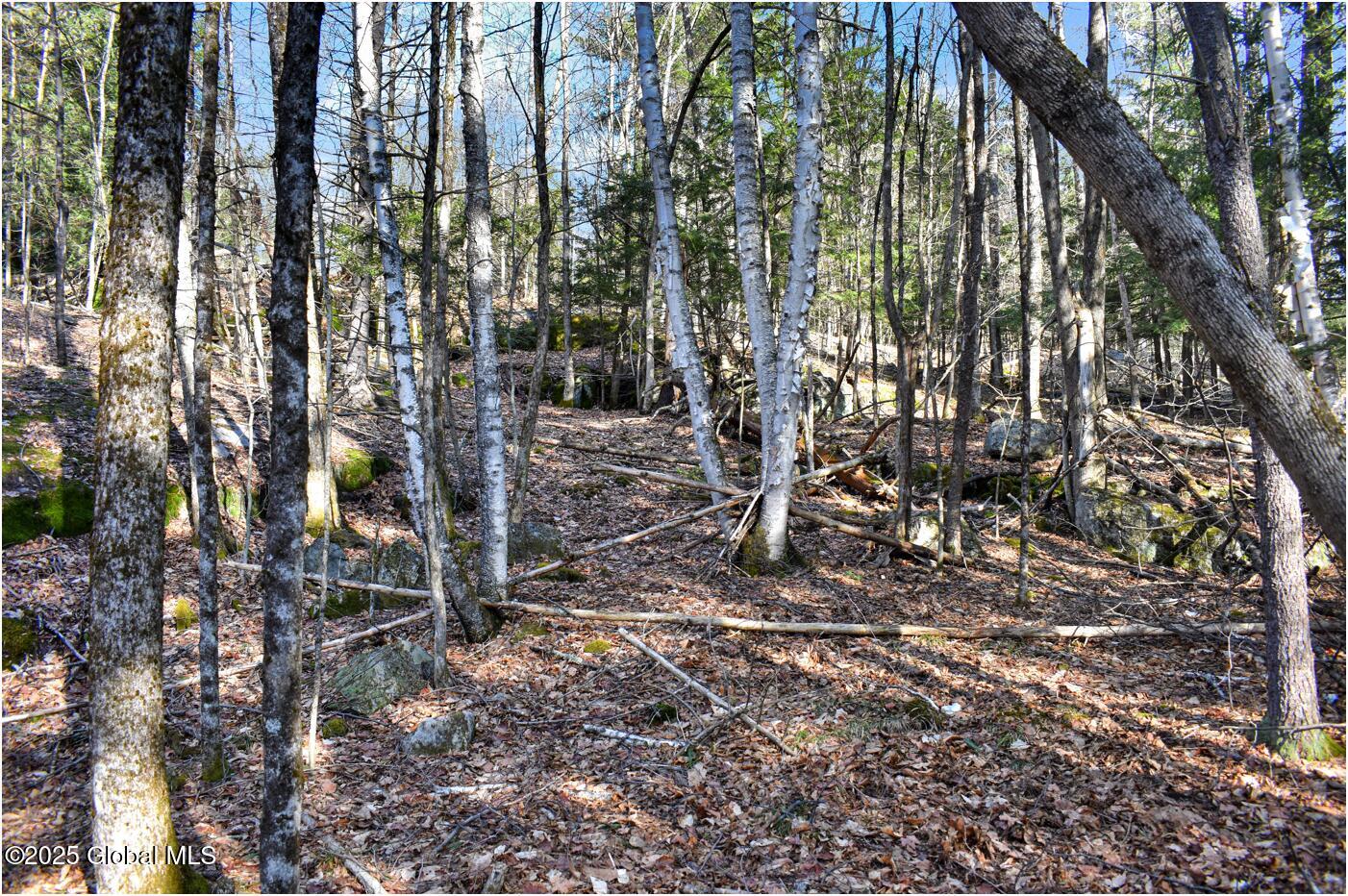 L9 New Hague Road Hague, NY 12836 - Photo 46 of 47 n52