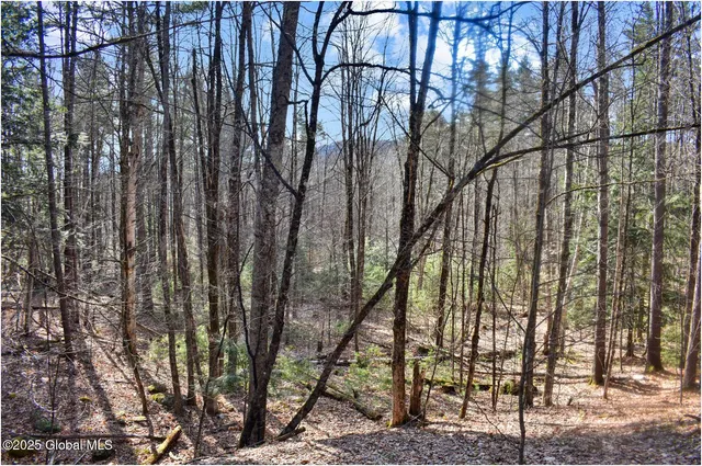 $119,000 | L9 New Hague Road, Hague, NY 12836