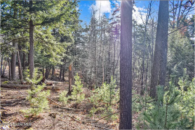 $119,000 | L9 New Hague Road, Hague, NY 12836