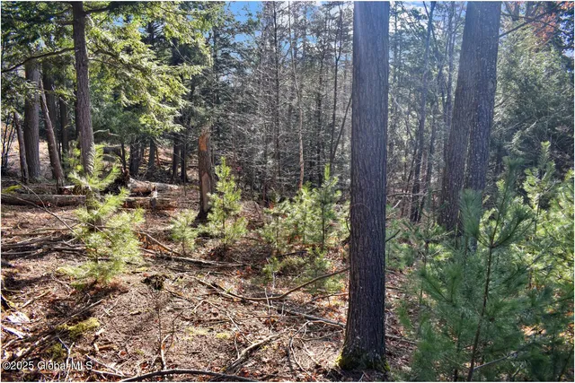 $119,000 | L9 New Hague Road, Hague, NY 12836