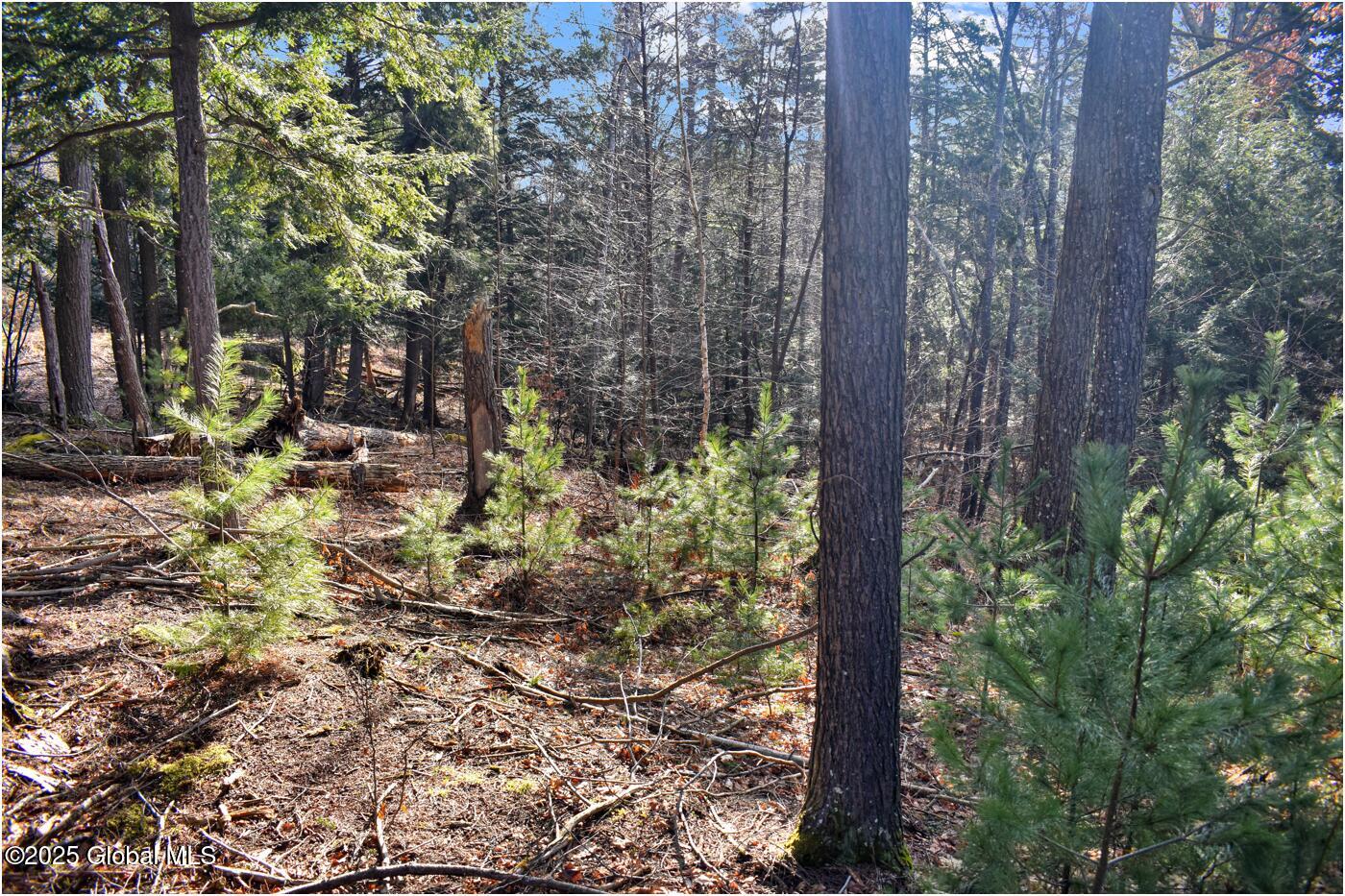 L9 New Hague Road Hague, NY 12836 - Photo 6 of 47 n2