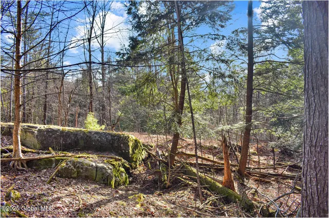 $119,000 | L9 New Hague Road, Hague, NY 12836