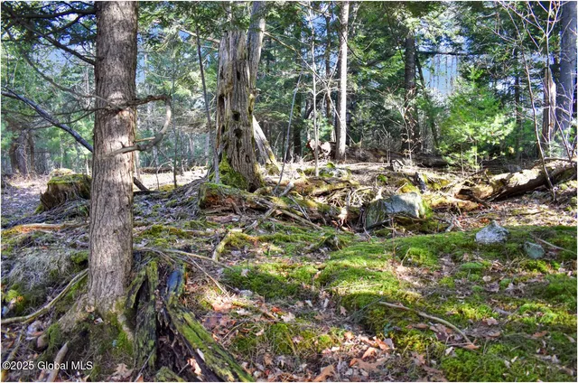 $119,000 | L9 New Hague Road, Hague, NY 12836