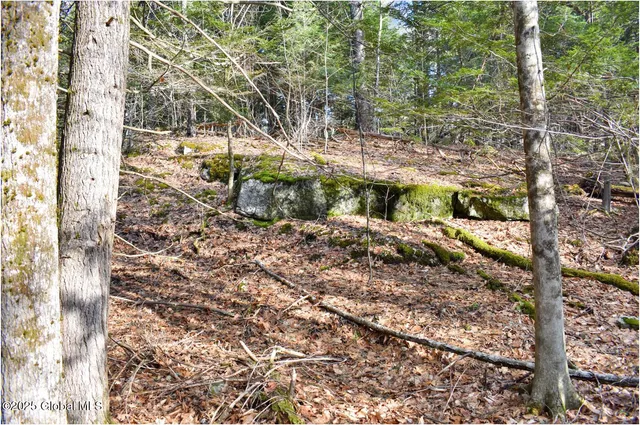 $119,000 | L9 New Hague Road, Hague, NY 12836