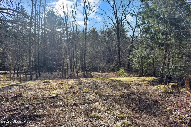 $119,000 | L9 New Hague Road, Hague, NY 12836