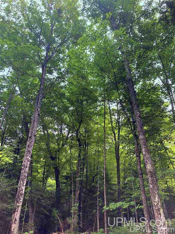 Tbd Deer Lake Road Ishpeming, MI 49849 - Photo 33 of 47