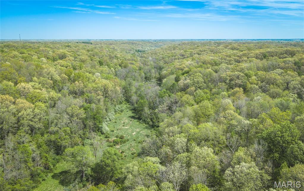 17816 Powerline Road Grafton, IL 62037 - Photo 13 of 50