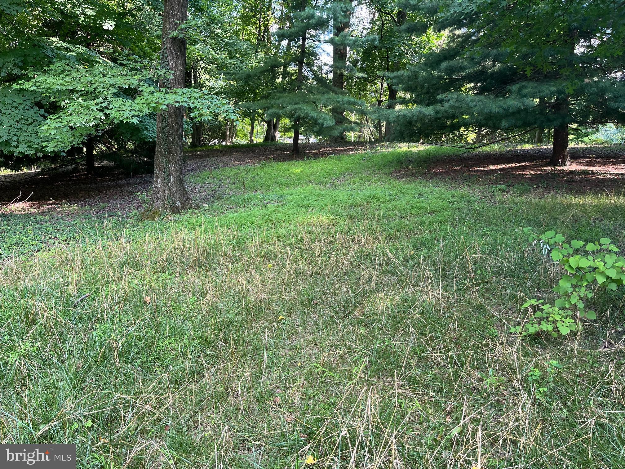 917 A Rolandvue Road Baltimore, MD 21204 - Photo 1 of 2 Gallery Image 1