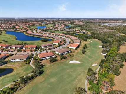 a dining room with furniture a large window and palm tree