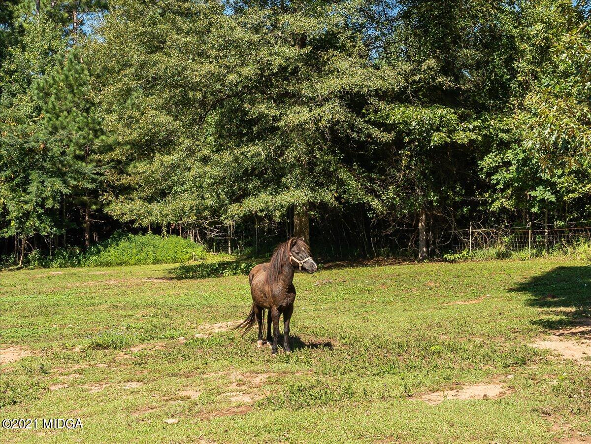 1886 Reedy Creek Road Forsyth, GA 31029 - Photo 32 of 37 31