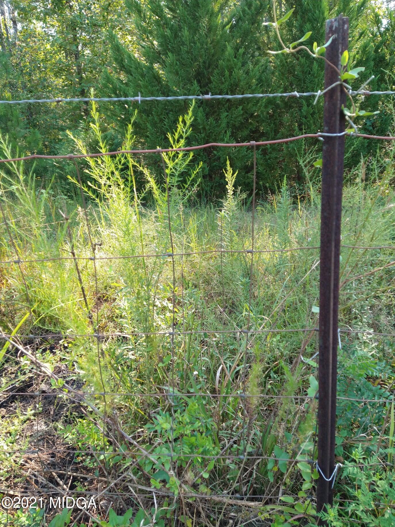 1886 Reedy Creek Road Forsyth, GA 31029 - Photo 35 of 37 image0
