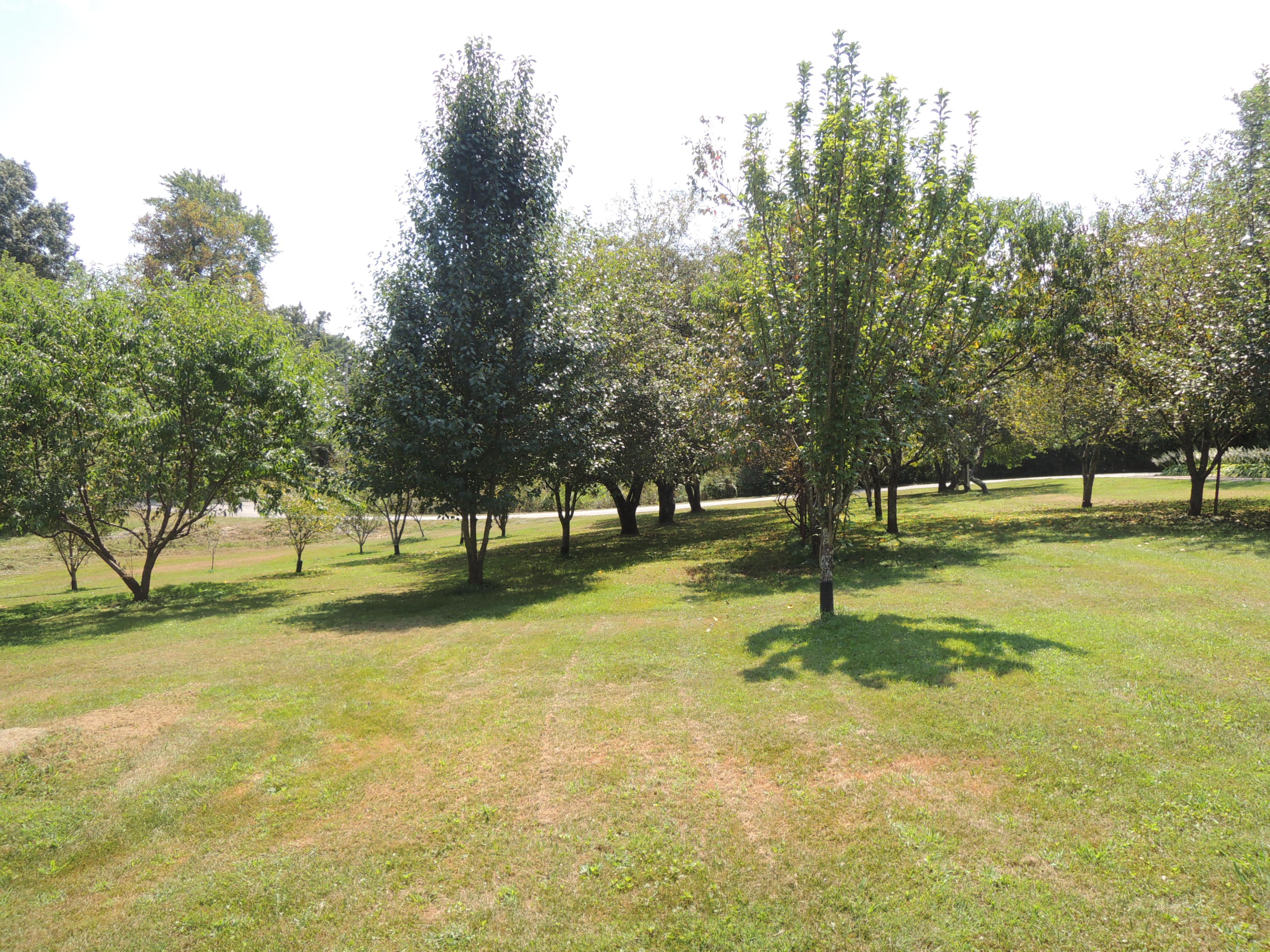109 Short Cooper Road Jamestown, TN 38556 - Photo 18 of 19 Hull R 027
