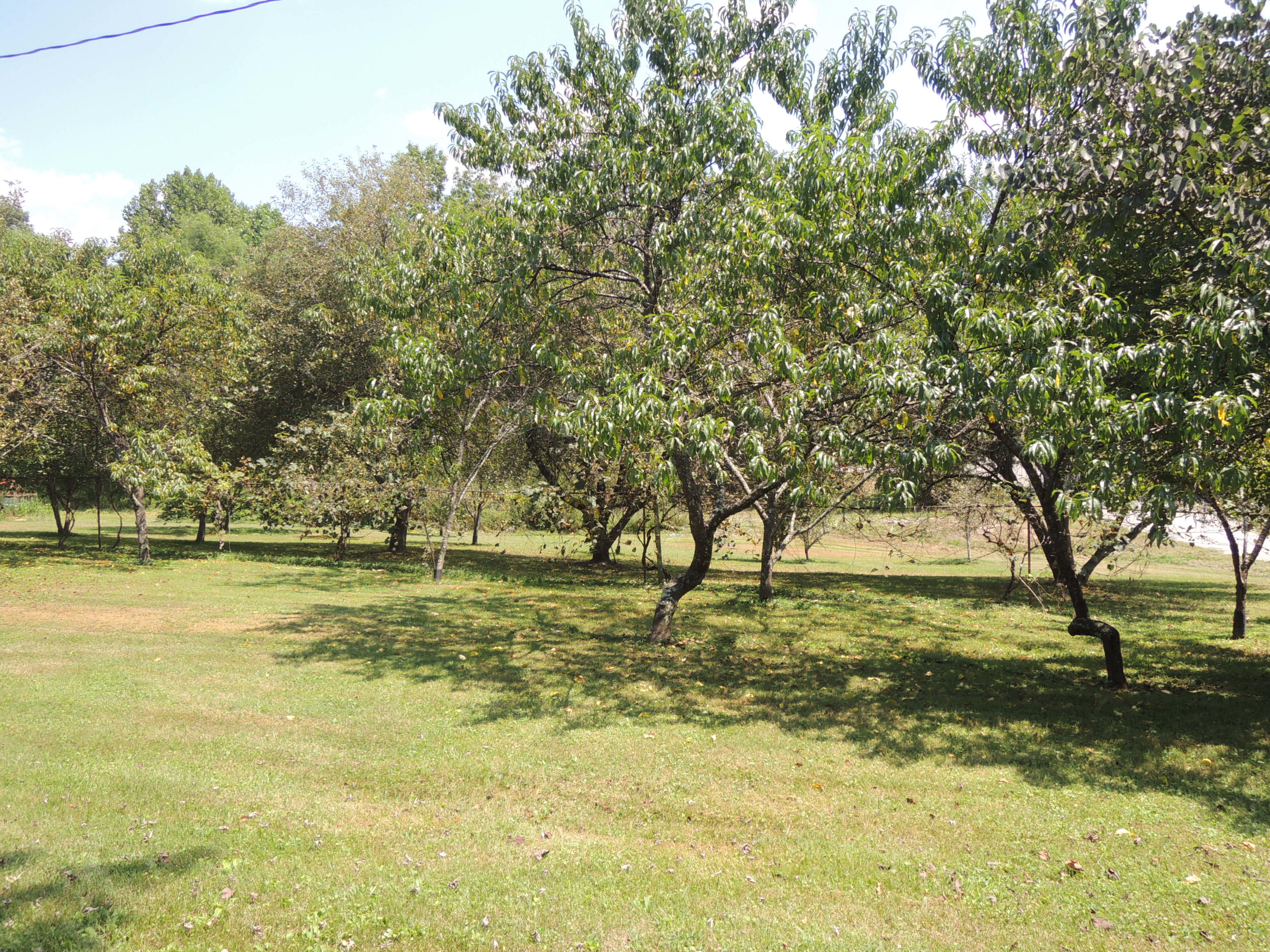 109 Short Cooper Road Jamestown, TN 38556 - Photo 19 of 19 Hull R 028