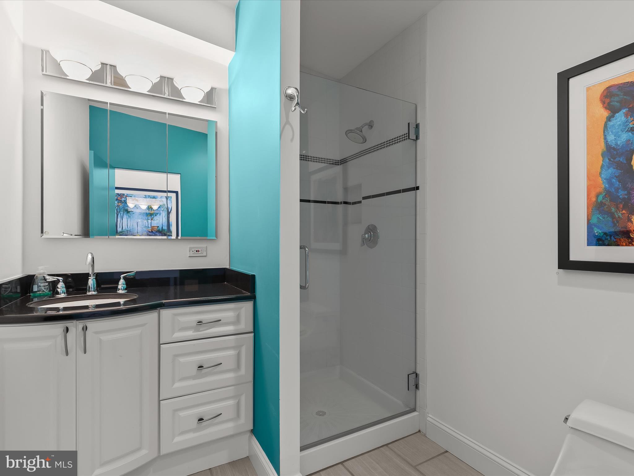 8316 Burning Wood Road Baltimore, MD 21208 - Photo 46 of 65 Full Bathroom