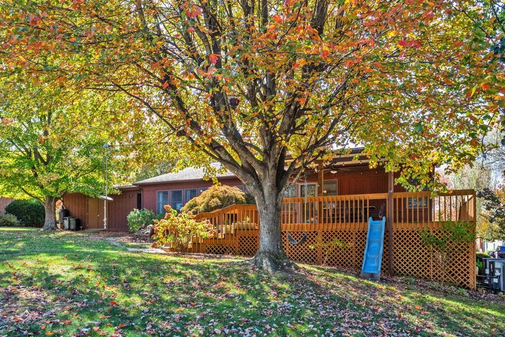 3210 Arrowhead Road Harrisonburg, VA 22801 - Photo 38 of 44 a view of a house with backyard and a tree