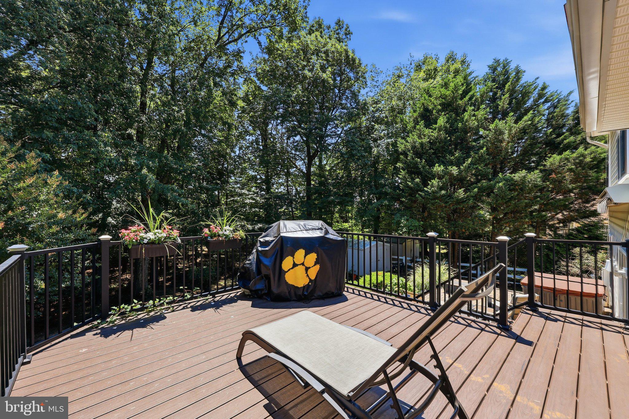 6154 Downs Ridge Court Elkridge, MD 21075 - Photo 19 of 58 deck