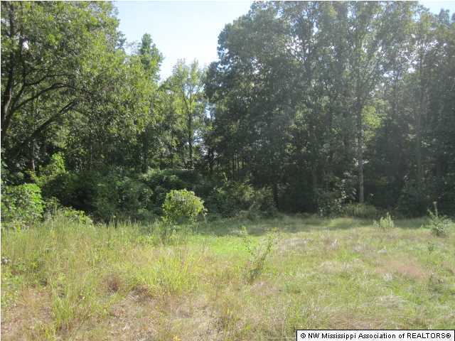 1 Lester Road Nesbit, MS 38651 - Photo 3 of 8 Additional Photo