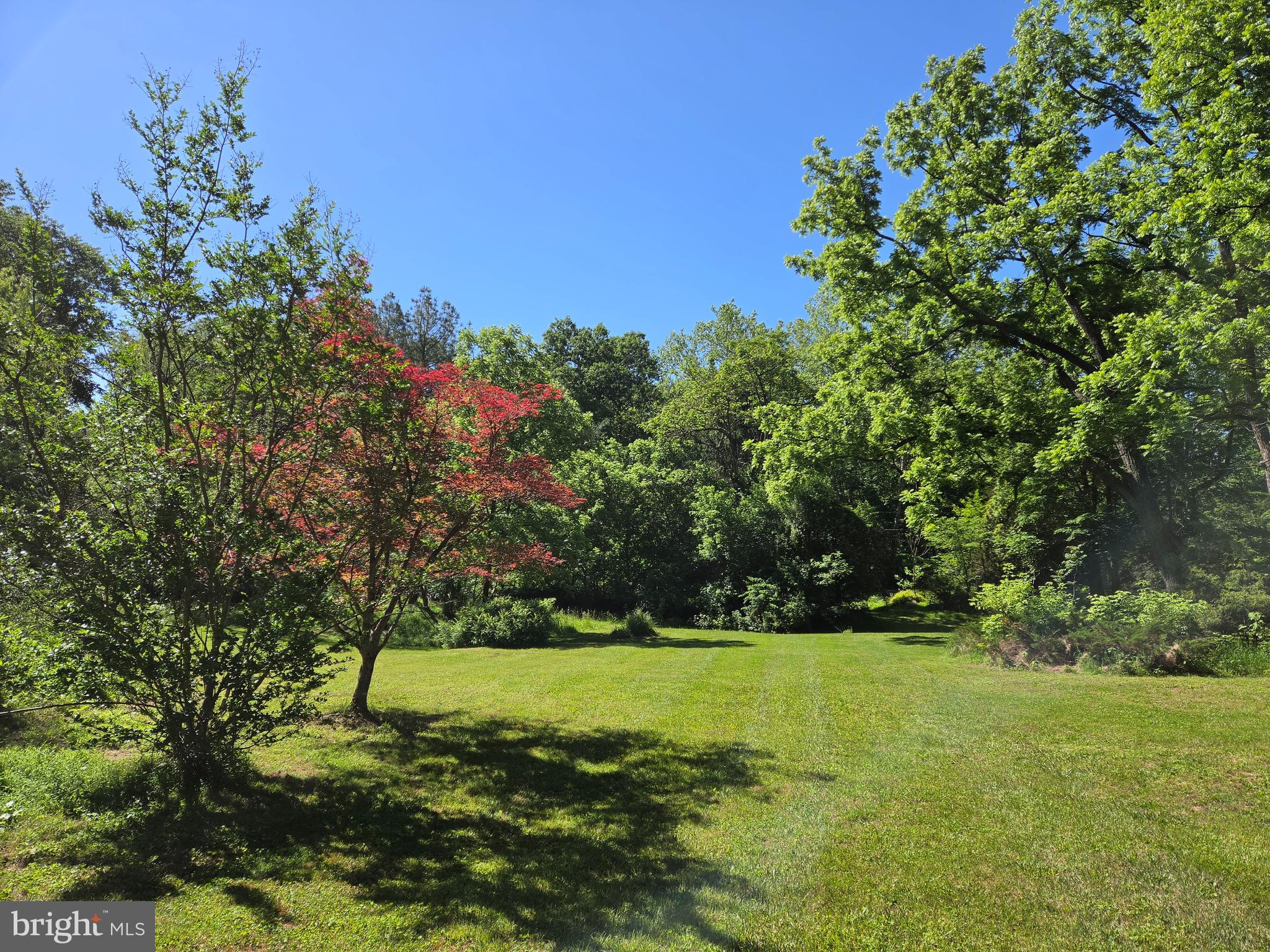341 Johnson Road Conowingo, MD 21918 - Photo 21 of 24