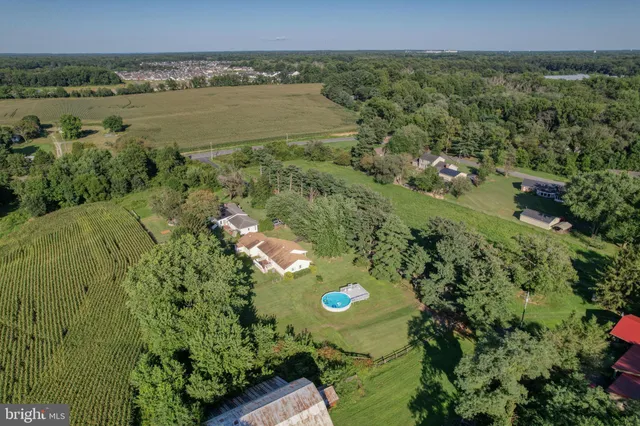a view of a green yard with lots of trees