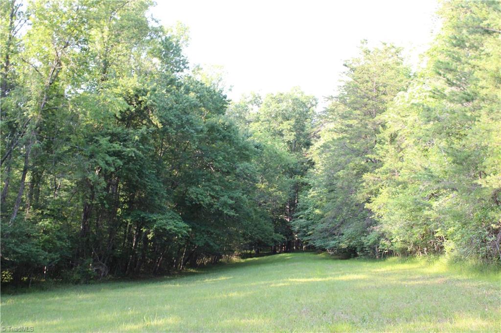 2541 Collinstown Road Westfield, NC 27053 - Photo 24 of 50