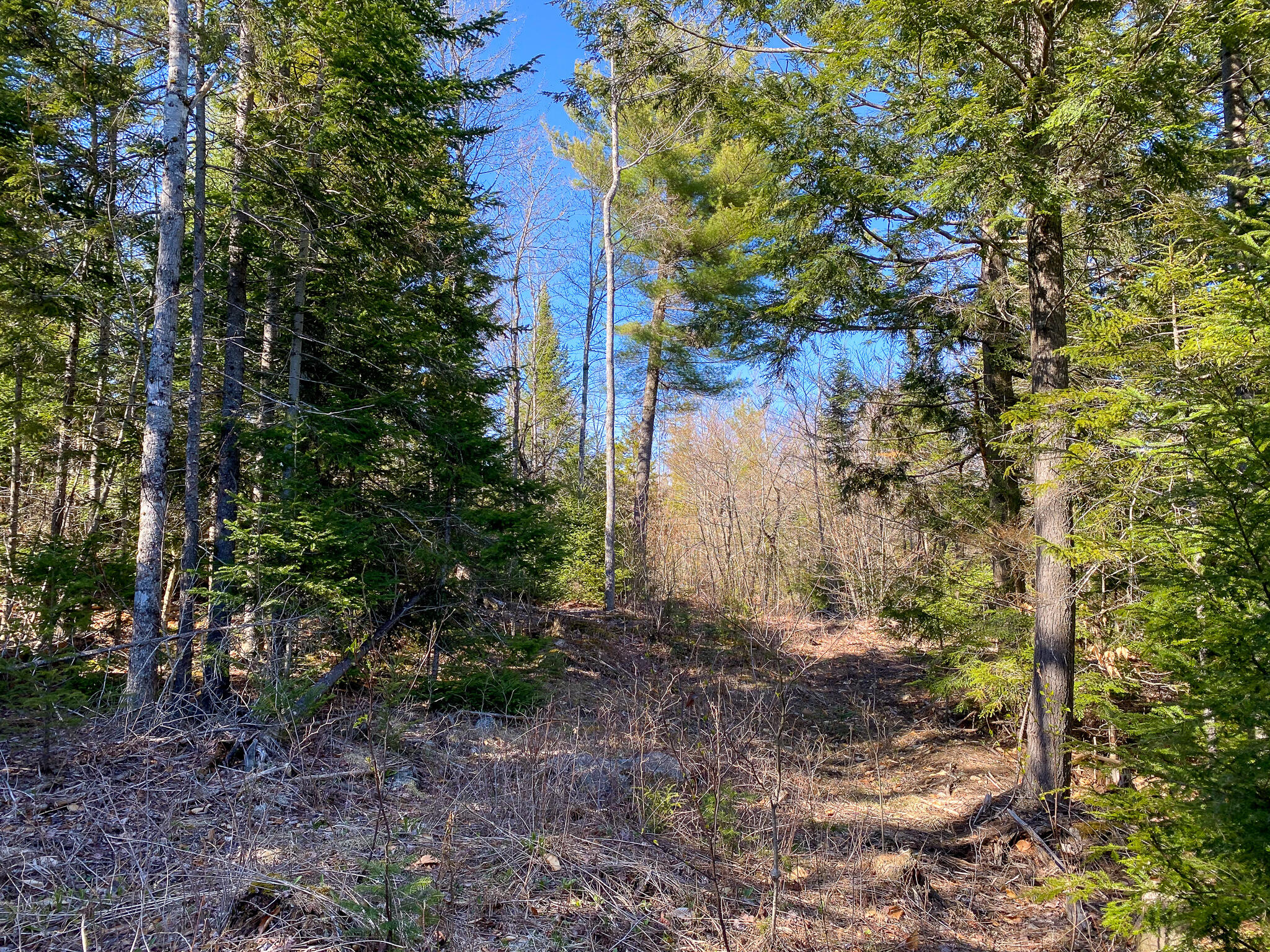 1510 Otis Road Ellsworth, ME 04605 - Photo 15 of 20 IMG_3160