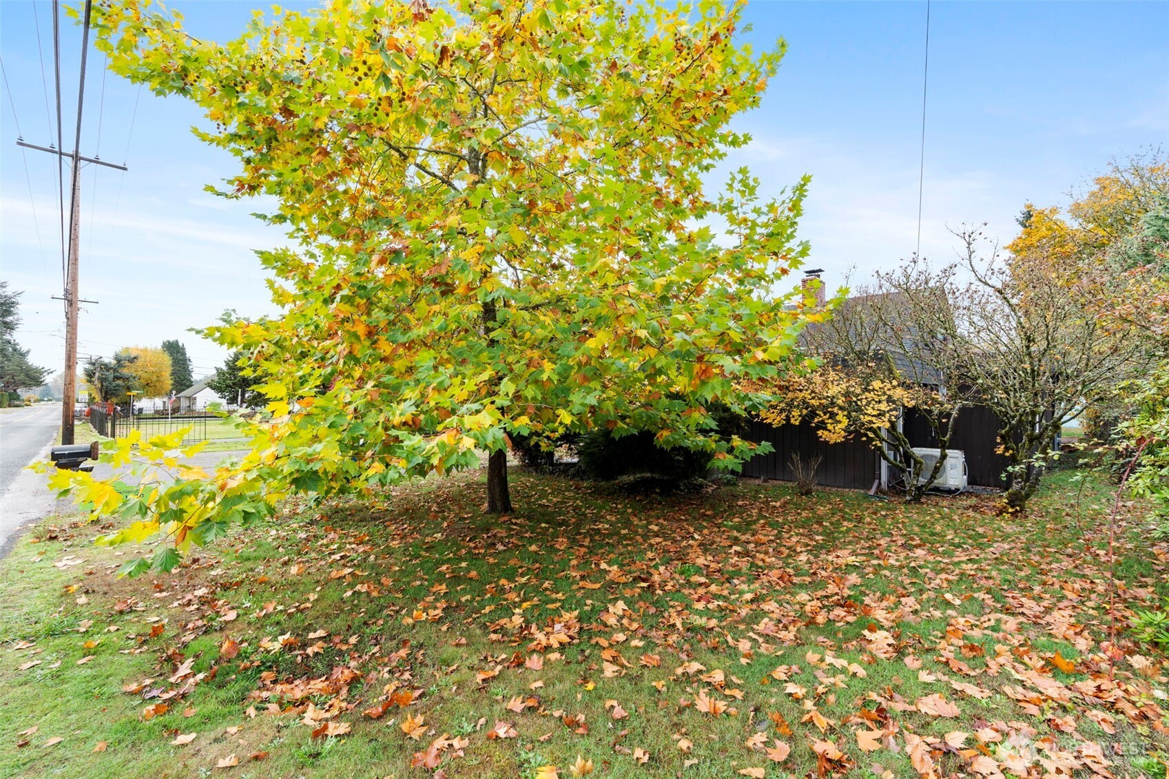 1107 Eshom Road Centralia, WA 98531 - Photo 39 of 40