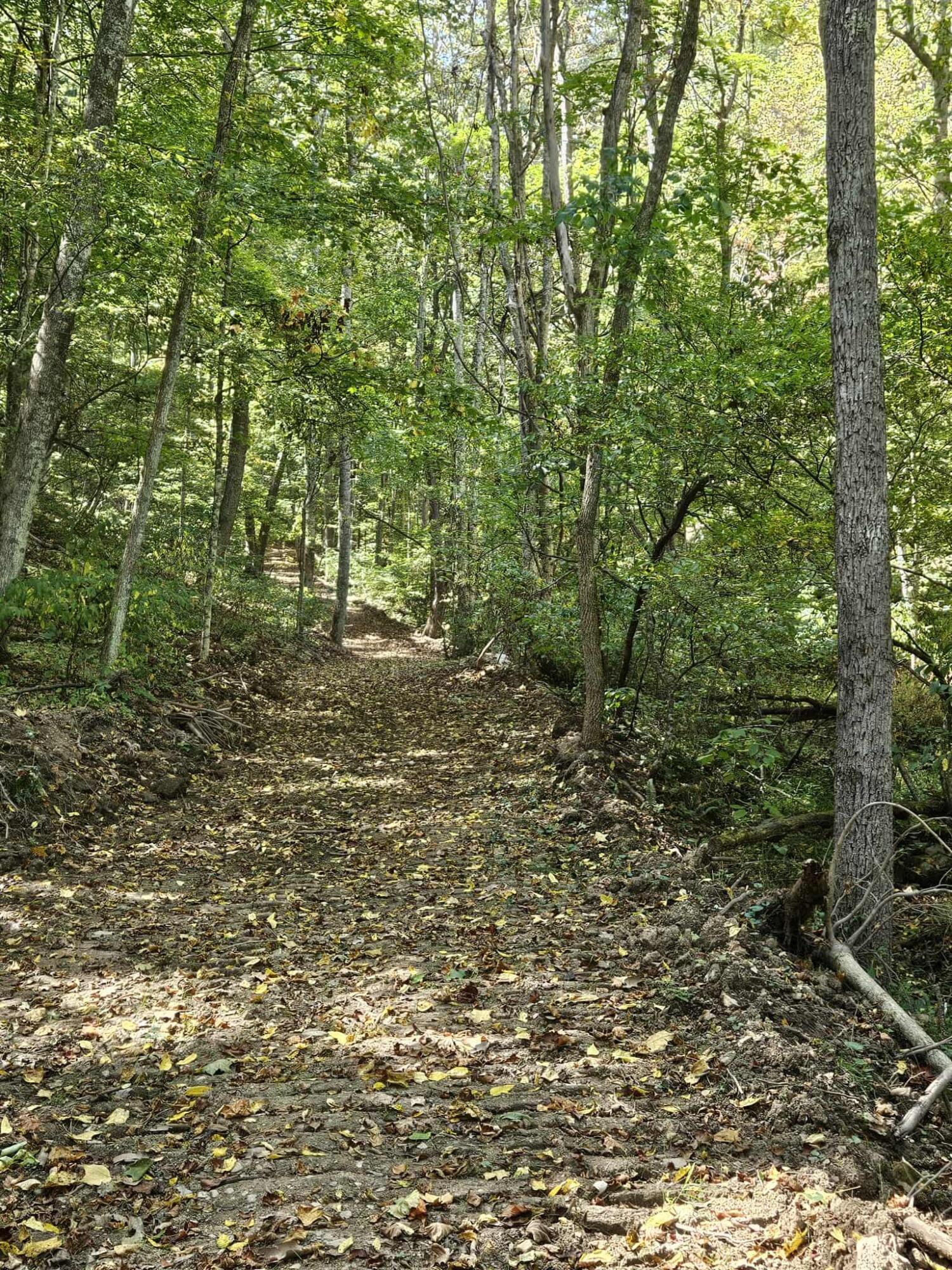 4329 Cooks Run Road Lindside, WV 24951 - Photo 66 of 71 Gallery Image 66