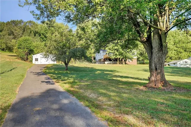 a view of a park with a tree