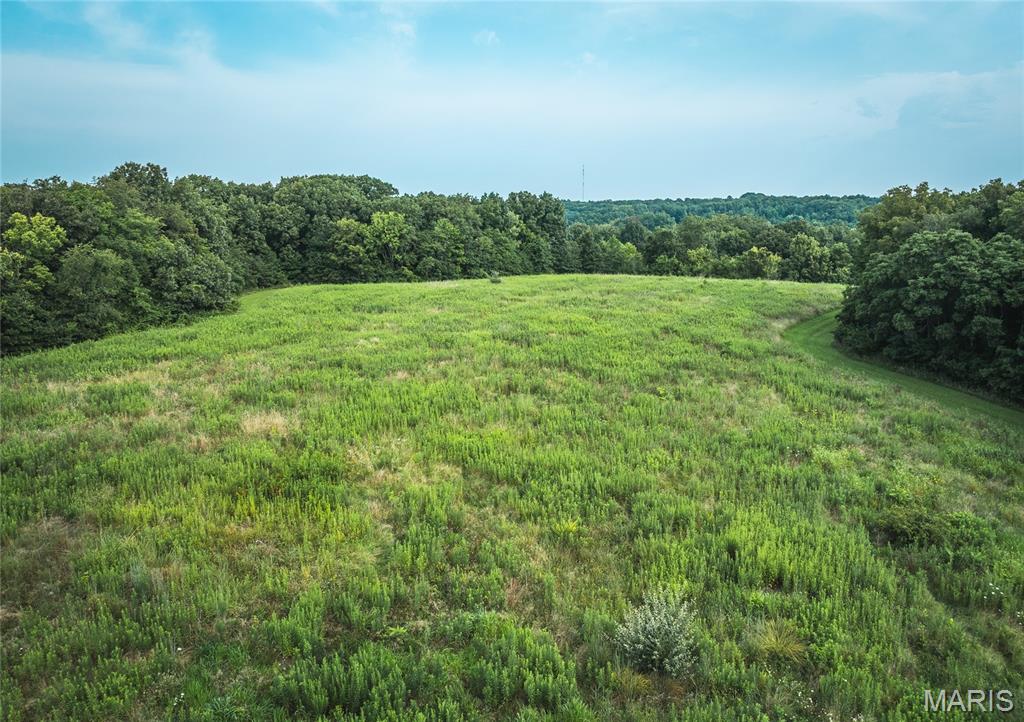 9070 Deer Run Lane Shipman, IL 62685 - Photo 8 of 30