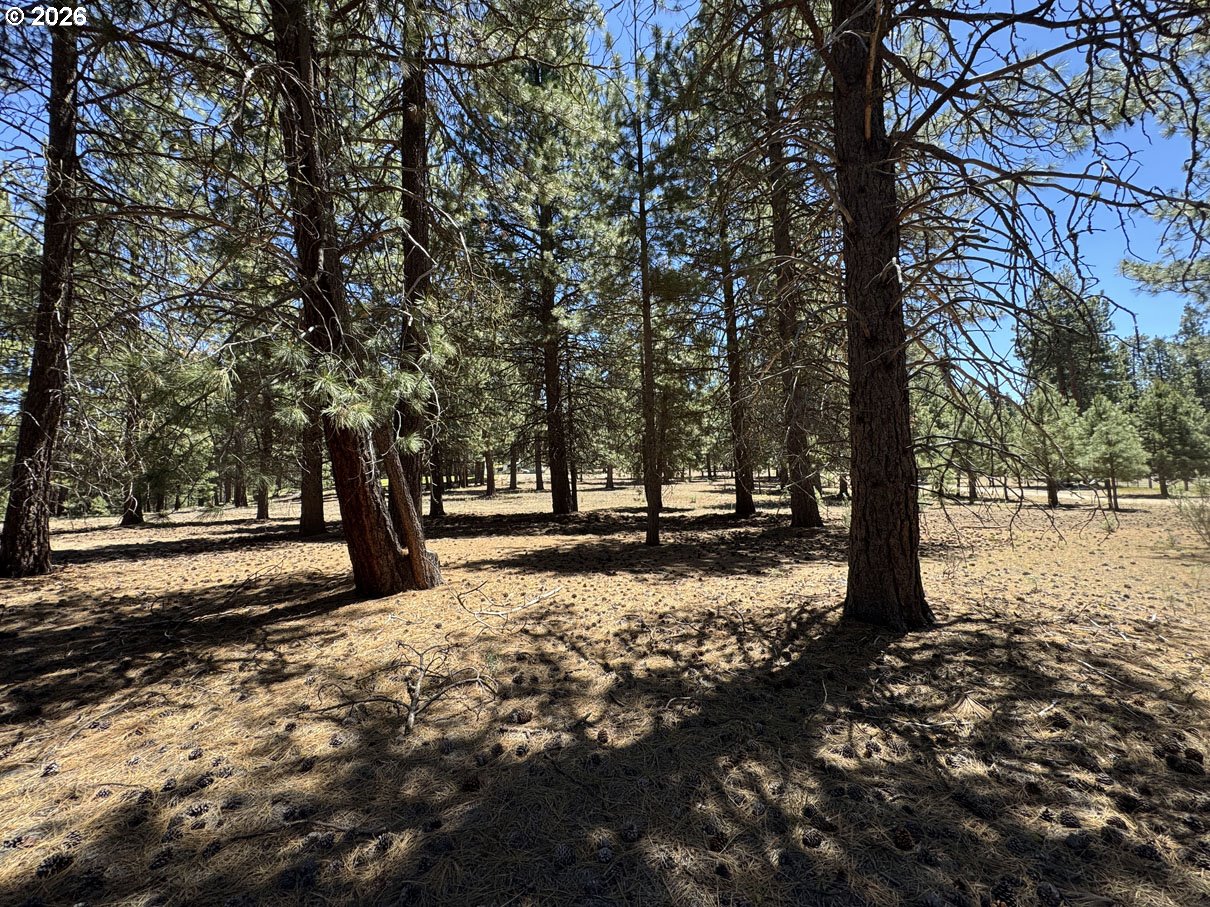 Friendship Drive, Unit 15 Chiloquin, OR 97624 - Photo 23 of 41