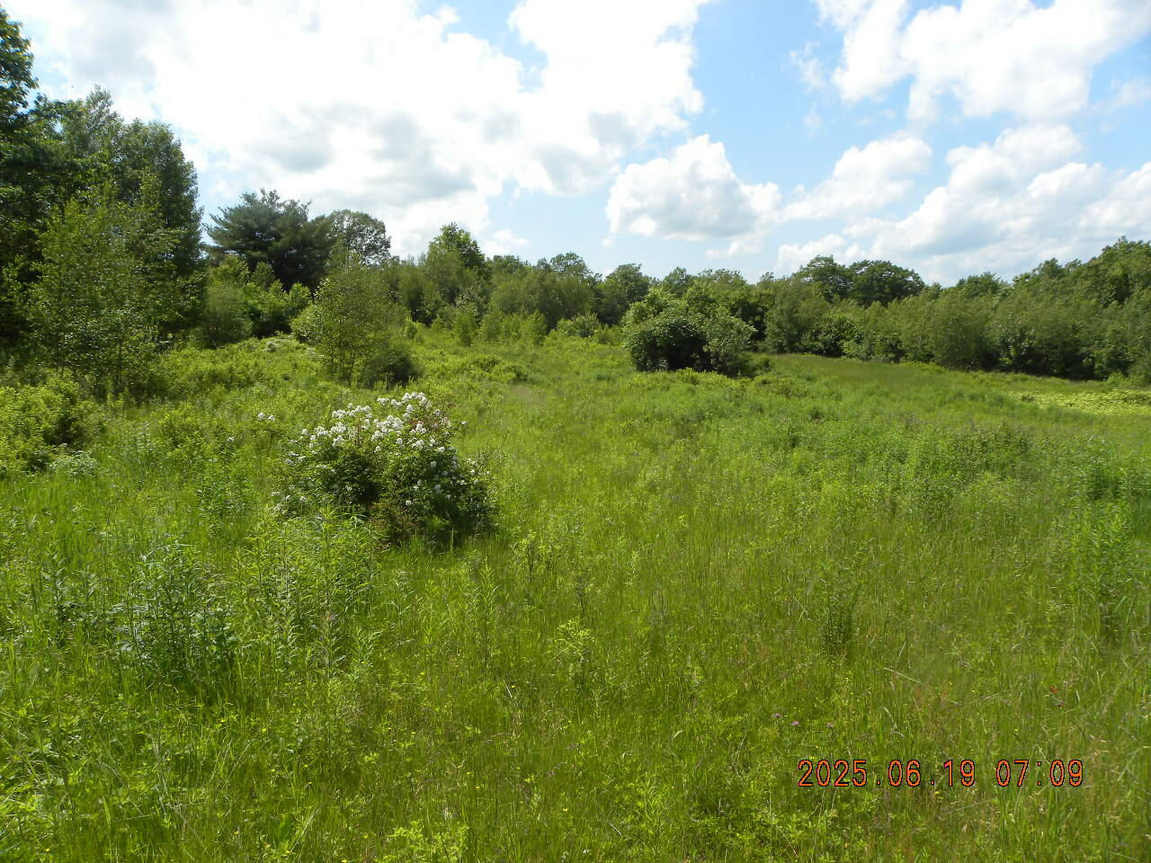 105 Garland Road West Newfield, ME 04095 - Photo 51 of 63 DSCN9419