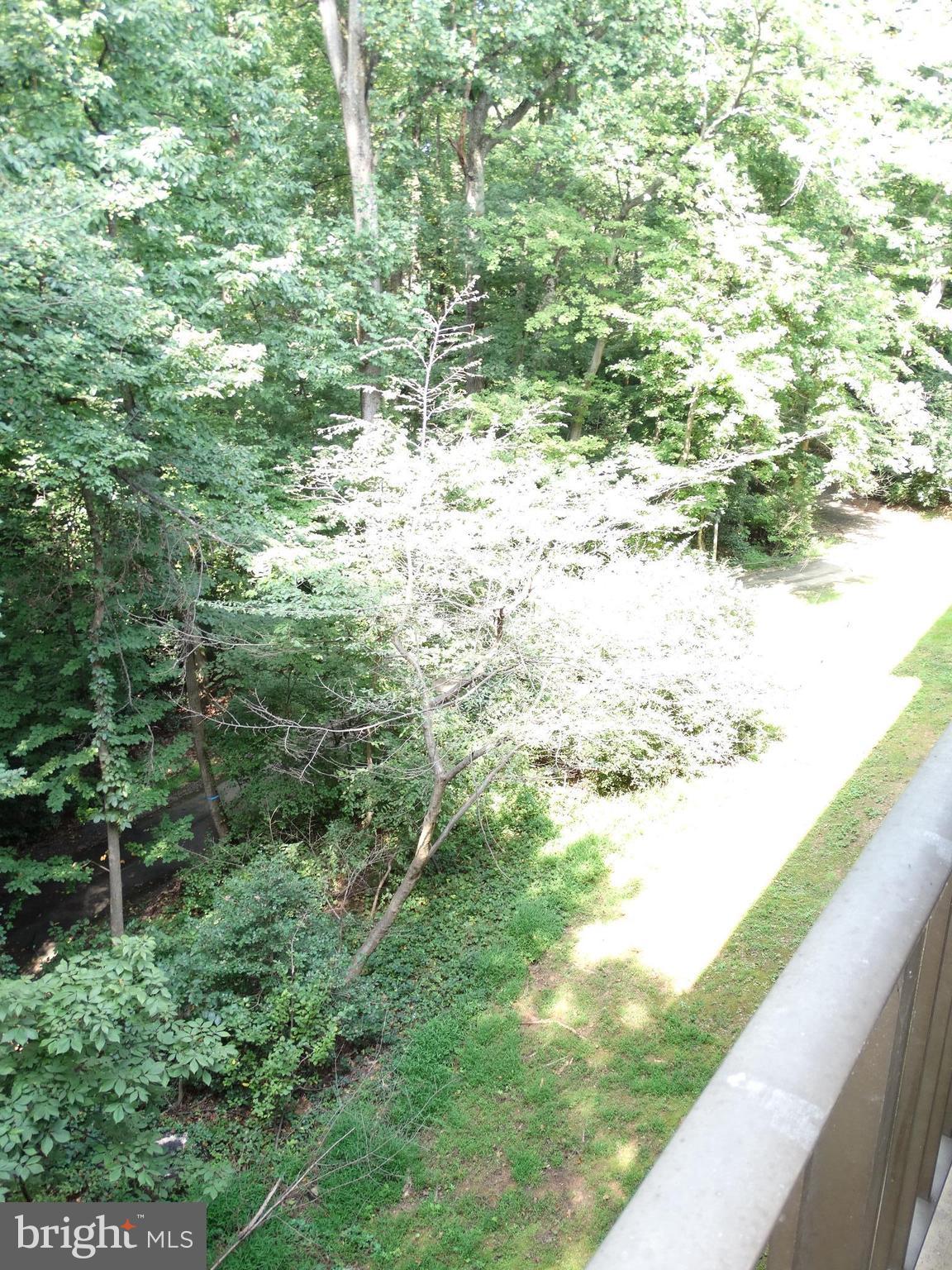 1538 Northgate Square, Unit 21B Reston, VA 20190 - Photo 11 of 26 Exterior (Rear)