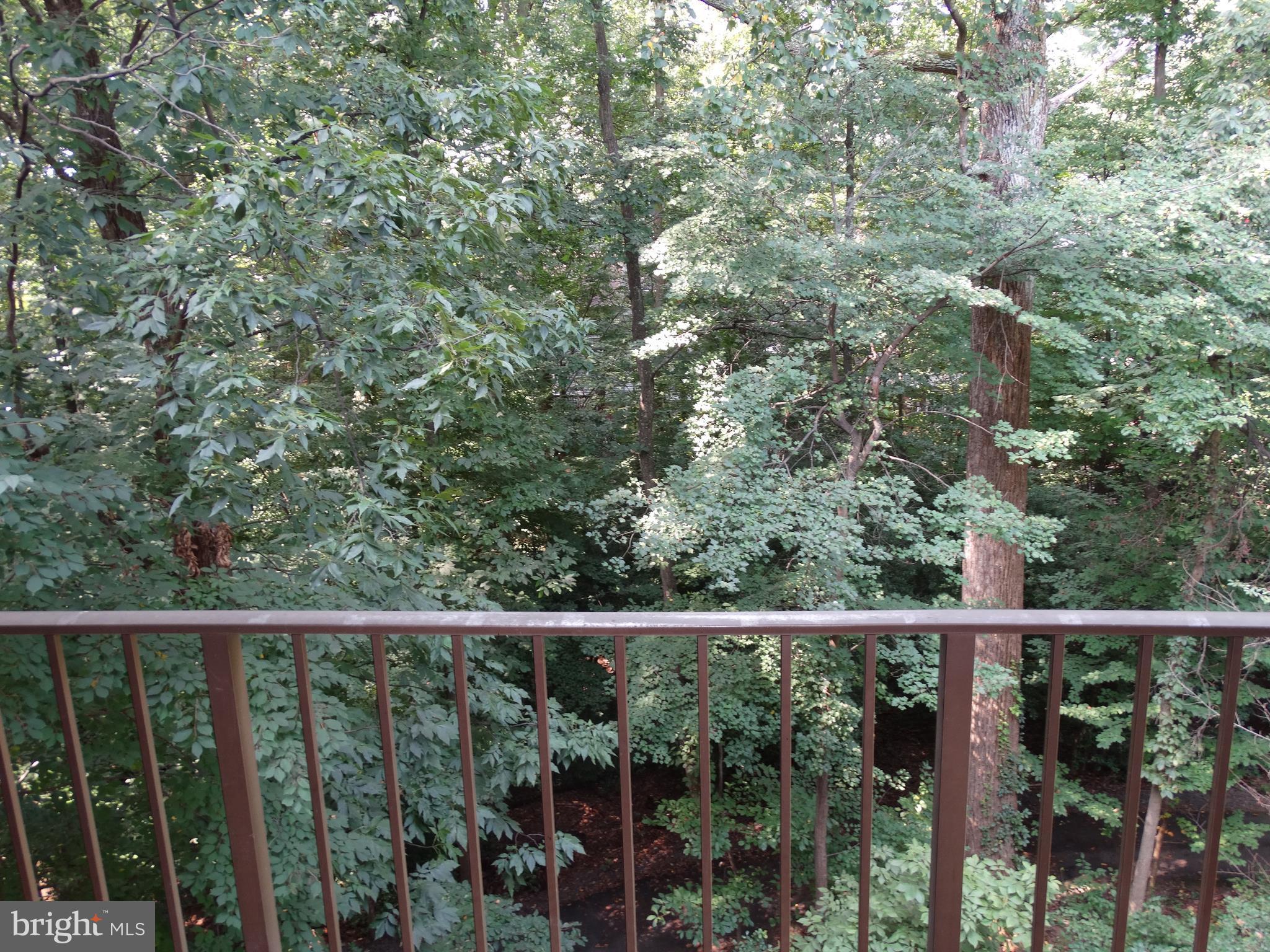 1538 Northgate Square, Unit 21B Reston, VA 20190 - Photo 9 of 26 Exterior (Rear)