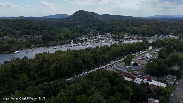 a view of a lush green hillside and houses