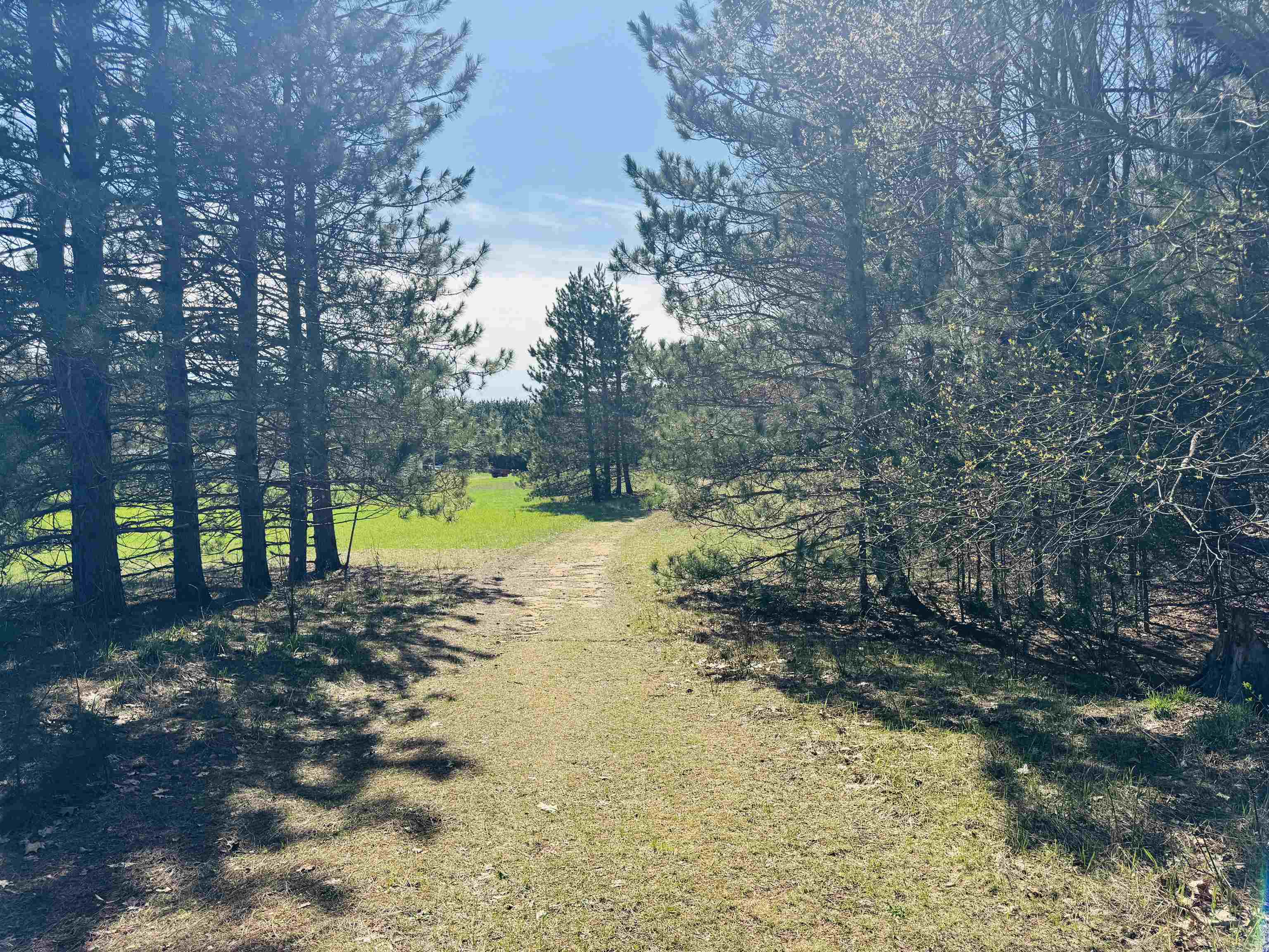 4340 South 7 1/2 Road Harrietta, MI 49638 - Photo 16 of 59