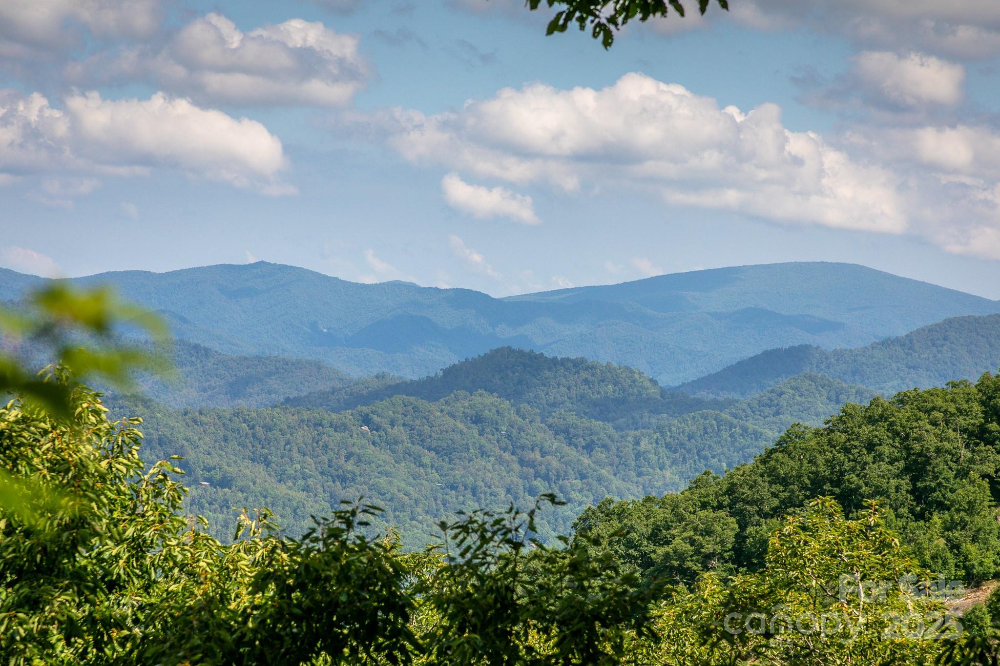 Lot 20 Heritage Ridge Road, Unit 20/4 Burnsville, NC 28714 - Photo 14 of 20 a view of a dry yard with mountains in the background